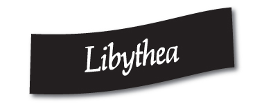 libythea
